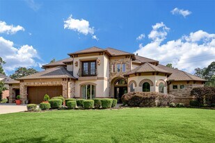 4434 Chateau Creek Way in Spring, TX - Building Photo