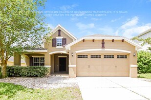 20804 Sullivan Ranch Blvd in Mount Dora, FL - Building Photo