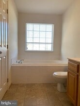 207 Merrill Ct in Stafford, VA - Building Photo - Building Photo