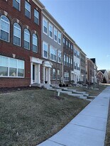 7517 Grey Rock Ln in Calverton, MD - Building Photo