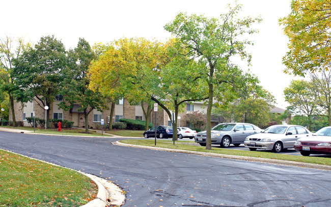 Moon Lake Village Condominiums in Schaumburg, IL - Building Photo - Building Photo