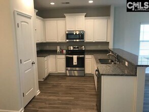 1020 Bergenfield Ln in Chapin, SC - Building Photo - Building Photo