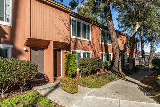 Summerwood Place in Concord, CA - Building Photo - Building Photo