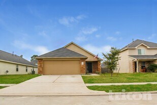 21455 Wilona Way in Houston, TX - Building Photo