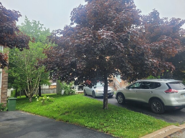 25 Georgian Ct in Dartmouth, NS - Building Photo - Building Photo