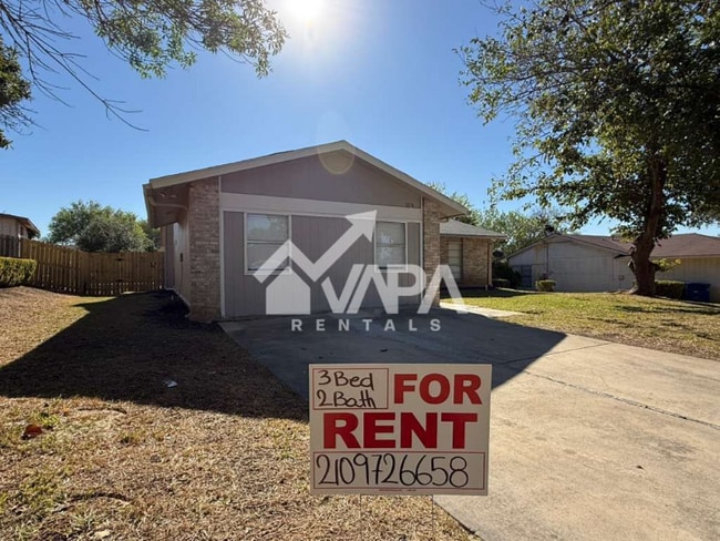 1074 Honey Tree St in San Antonio, TX - Building Photo - Building Photo