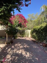 71 E Calle De Arcos in Tempe, AZ - Foto de edificio - Building Photo