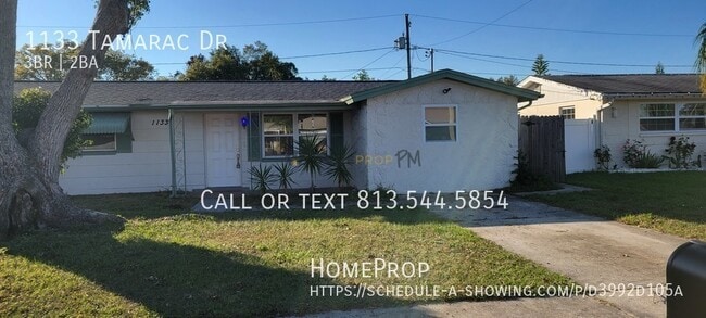 property at 1133 Tamarac Dr