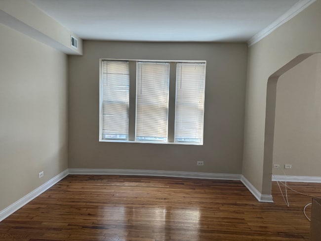 1105 S Richmond St in Chicago, IL - Building Photo - Building Photo
