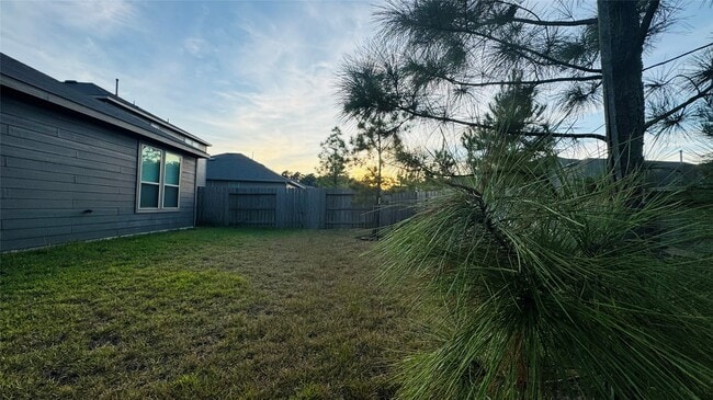 251 Pine cavern dr in Willis, TX - Building Photo - Building Photo