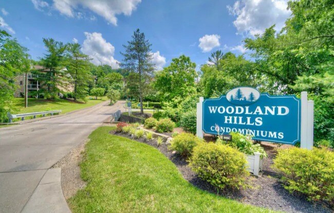 66 View Terrace Dr in Southgate, KY - Building Photo - Building Photo