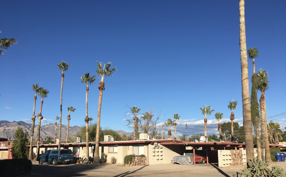 Canyon Oasis in Tucson, AZ - Foto de edificio