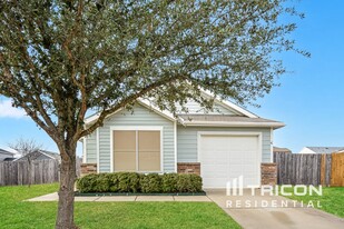 12108 Bear Mesa Ct