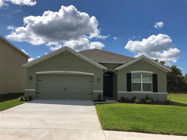 property at 30685 Summer Sun Lp