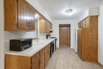 1019 S Oakley Blvd in Chicago, IL - Building Photo - Building Photo