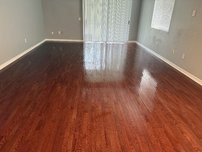 18113 Nassau Point Dr in Tampa, FL - Building Photo - Building Photo
