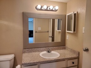 206 Plaza Verde Dr in Houston, TX - Building Photo - Building Photo