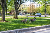Apartments in Orland Hills, IL