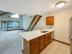 217 S Harris St in Breckenridge, CO - Foto de edificio - Building Photo