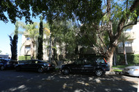 11117-11123 Hartsook St in North Hollywood, CA - Foto de edificio - Building Photo