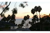 315 Acebo Ln in San Clemente, CA - Foto de edificio - Building Photo