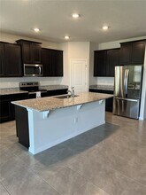 1509 Tropical Oasis Ave in Plant City, FL - Building Photo - Building Photo