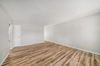 210 W Locust St in Three Oaks, MI - Foto de edificio - Building Photo