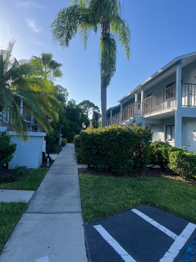 property at 28121 Pine Haven Way