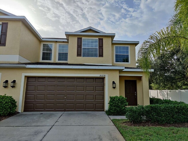 20238 Pond Apple Ln in Tampa, FL - Building Photo - Building Photo