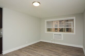 533 W Surf St in Chicago, IL - Building Photo - Building Photo