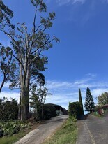 3655 Brewer Rd in Makawao, HI - Building Photo