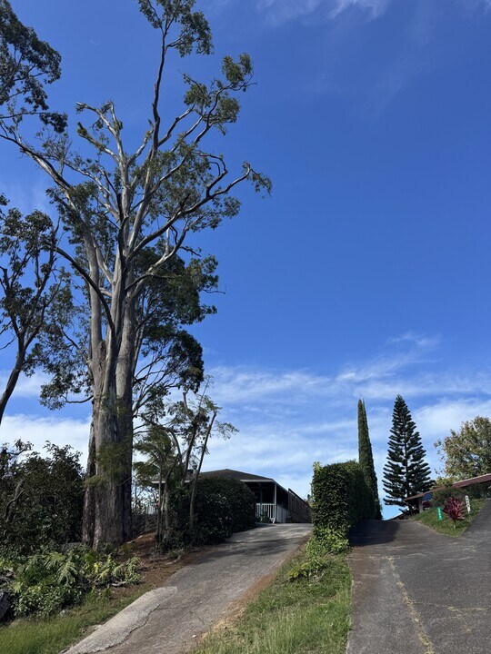 3655 Brewer Rd in Makawao, HI - Building Photo