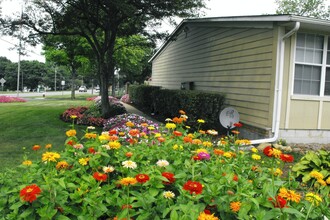 Bellville Court Apartments in Bellville, OH - Foto de edificio - Building Photo