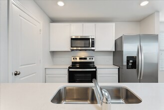 2111 Organ Pipe Cactus in San Antonio, TX - Building Photo - Building Photo