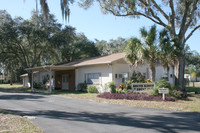 South Kings Estates in Brandon, FL - Building Photo - Building Photo