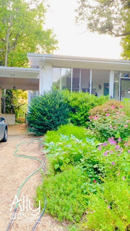 709 Park St in Charlottesville, VA - Building Photo - Building Photo