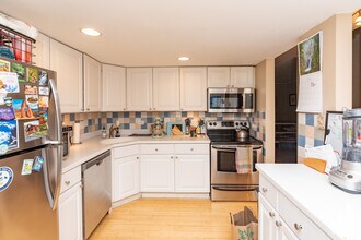 429 W Grant Pl, Unit A in Chicago, IL - Building Photo - Building Photo