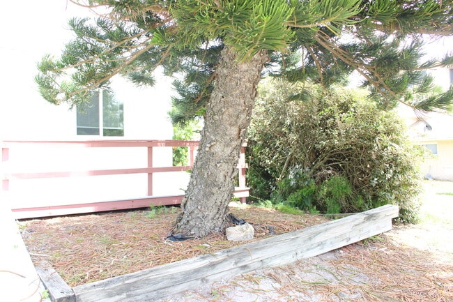 1215 N Atlantic Ave in New Smyrna Beach, FL - Foto de edificio - Building Photo