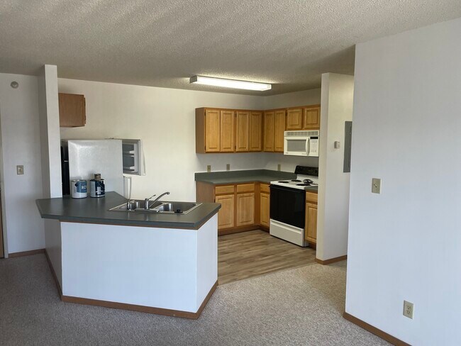 664 Terrace Park Blvd, Unit 29 in Milford, IA - Building Photo - Building Photo