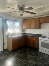 3217 Lydia Ave in Robbins, IL - Building Photo - Building Photo