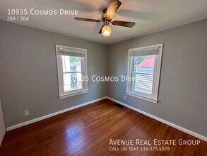 10935 Cosmos Dr in St. Louis, MO - Building Photo - Building Photo