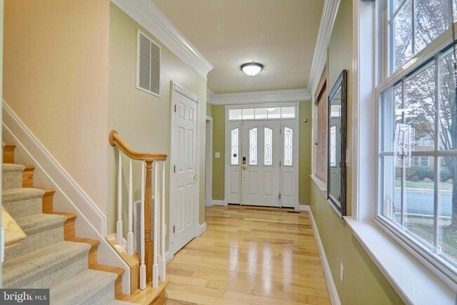 41779 Bristow Manor Dr in Ashburn, VA - Building Photo - Building Photo