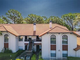 2640 Enterprise Rd E in Clearwater, FL - Building Photo