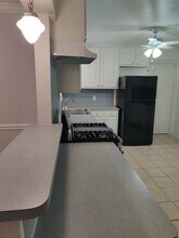 919 Oak Meadows St in Houston, TX - Building Photo - Building Photo