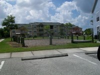 Royal Palm Terrace Apartments photo'