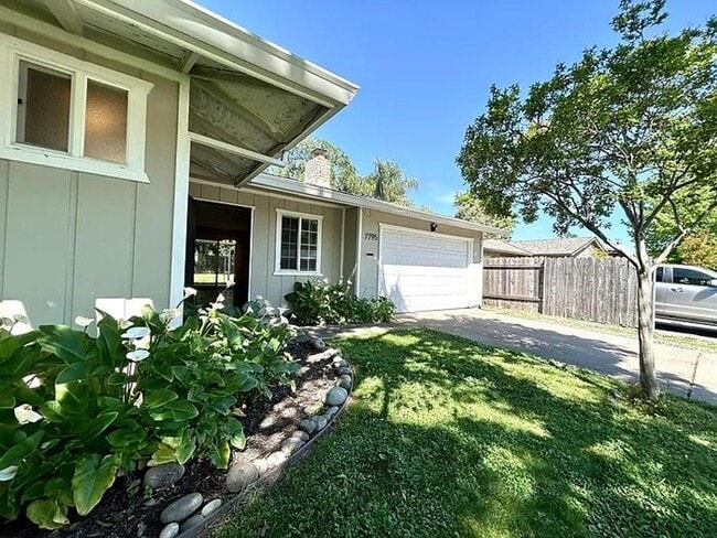 property at 7795 Glen Tree Dr