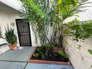 6543 Paseo Adelante in Carlsbad, CA - Building Photo - Building Photo