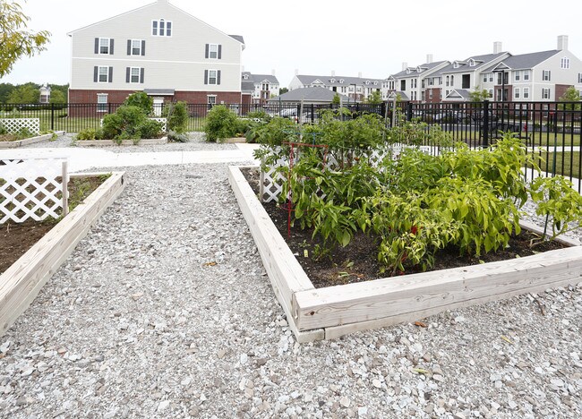 Domain at Bennett Farms in Zionsville, IN - Building Photo - Building Photo