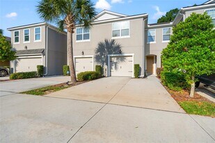 14124 Damselfly Dr in Citrus Park, FL - Building Photo