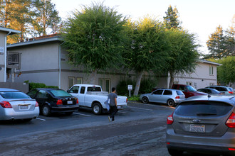 Walnut Woods Apartments in Napa, CA - Foto de edificio - Building Photo